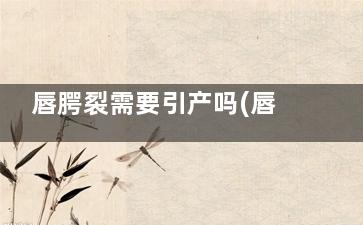 唇腭裂需要引产吗(唇腭裂引产有必要胎儿组织检查吗)