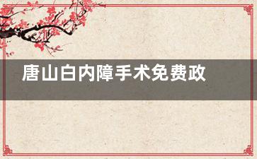 唐山白内障手术免费政策新消息查询，60岁以上及残疾人可申请附申请流程！