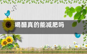 喝醋真的能减肥吗