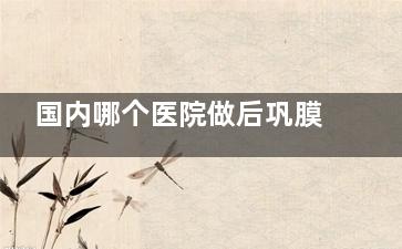 国内哪个医院做后巩膜加固术好？华厦/普瑞/爱尔/北京熙仁/北京民众/上海和平眼科都能做，放心选！