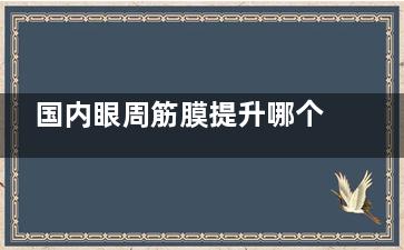 国内眼周筋膜提升哪个医生好？一文读懂李喆、袁强、倪锋等眼周筋膜技术流大拿医生特色与价格！