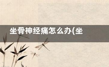 坐骨神经痛怎么办(坐骨神经痛怎么治疗方法***快)