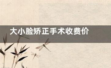 大小脸矫正手术收费价格表一览:矫正3万元起/偏颌10万元起,大小脸矫正价格差异大