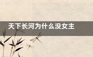 天下长河为什么没女主角