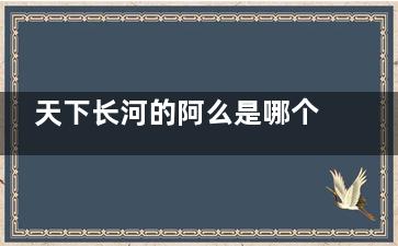 天下长河的阿么是哪个人