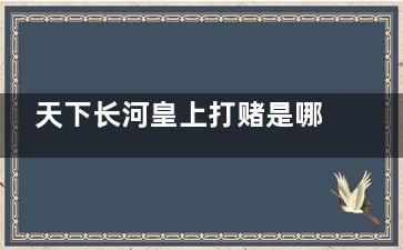 天下长河皇上打赌是哪一集
