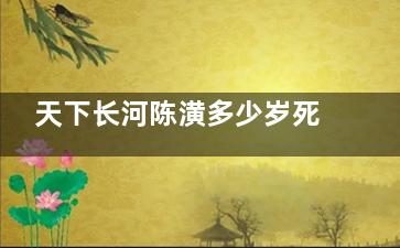 天下长河陈潢多少岁死的