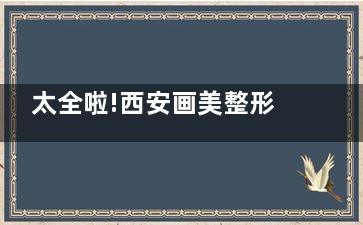 太全啦!西安画美整形医院2024价格表详解:眼899+/鼻3800+/胸6800+