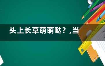 头上长草萌萌哒？,当心劣质饰品铅超标毁健康,头上长草有什么含义