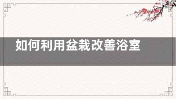 如何利用盆栽改善浴室卫生间的环境？,浴盆种花