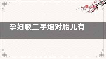孕妇吸二手烟对胎儿有什么影响(孕妇吸二手烟对胎儿有什么好处)