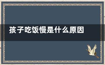 孩子吃饭慢是什么原因(孩子吃饭特别慢什么原因)