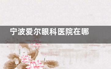 宁波爱尔眼科医院在哪里？江北区环城北路西段8号交通攻略！地铁/公交/自驾停车指南