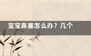 宝宝鼻塞怎么办？几个小妙方帮你轻松解决(宝宝鼻塞怎么办***办法通气)