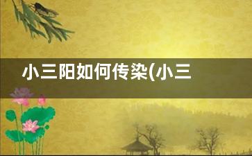 小三阳如何传染(小三阳如何传染给家人)