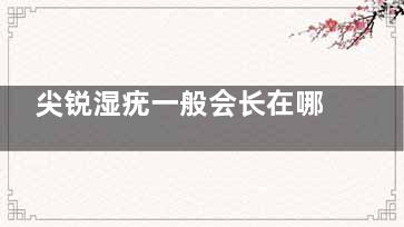 尖锐湿疣一般会长在哪些部位