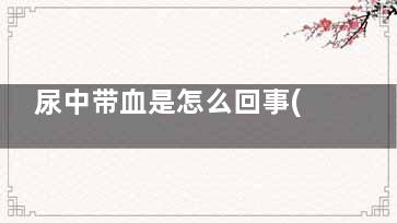 尿中带血是怎么回事(尿液有血是怎么回事女性)