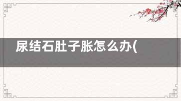尿结石肚子胀怎么办(尿结石肚子胀怎么缓解)