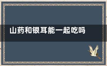 山药和银耳能一起吃吗,山药和银耳能一起吃吗早餐