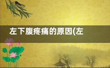 左下腹疼痛的原因(左下腹疼痛的原因按压疼)