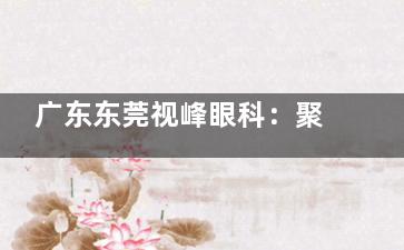 广东东莞视峰眼科：聚焦东莞眼健康，近视矫正、儿童视光为主，服务周边居民