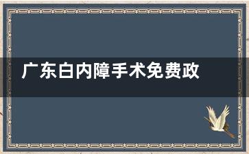 广东白内障手术免费政策2025新消息！了解白内障手术免费政策的详细内容，比如目标人群、申请条件、申请流程等~