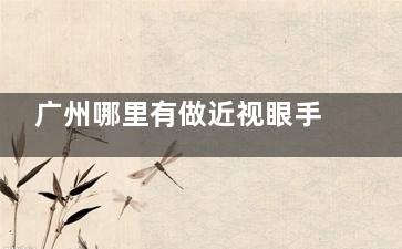 广州哪里有做近视眼手术的医院？视可佳眼科/普瑞眼科/爱尔眼科/视百年眼科4家都是广州正规眼科医院