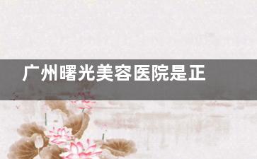 广州曙光美容医院是正规医院吗？深扒资质、技术与口碑，值不值得选看完这份深度分析再决定！