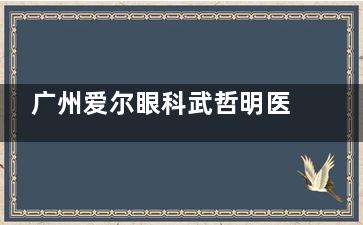 广州爱尔眼科武哲明医生靠谱吗？从执业资质、诊疗风格看是否值得预约！