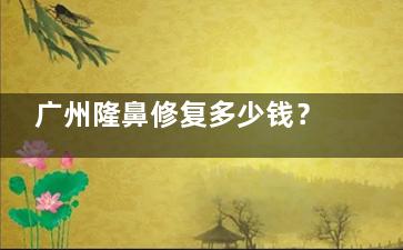 广州隆鼻修复多少钱？2025年价格表及项目解析，大致在3w~8w左右