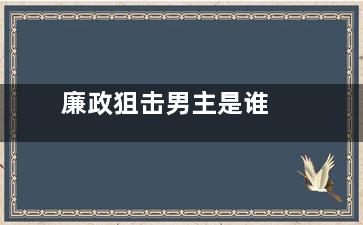廉政狙击男主是谁