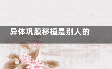 异体巩膜移植是别人的巩膜吗？一文揭开真相
