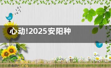 心动!2025安阳种植牙价格指南:单颗2980+、半口2W+、全口4W+不同品牌植体费用概览