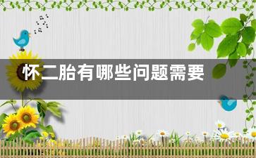 怀二胎有哪些问题需要注意(二胎指的是生二个吗)