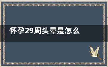 怀孕29周头晕是怎么回事,怀孕29周有点头晕怎么回事