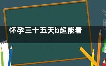 怀孕三十五天b超能看到吗,怀孕三十五天b超能看出来吗