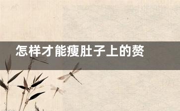 怎样才能瘦肚子上的赘肉
