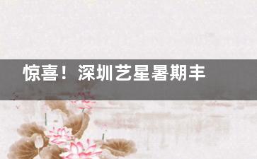 惊喜！深圳艺星暑期丰胸术例招人啦~小法芮娅S系列胸假体4w傲诺拉绚耀4.6w