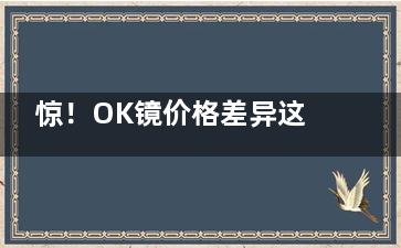 惊！OK镜价格差异这么大？到底是什么影响了它的价格？看完这篇你就懂了！
