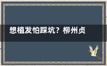 想植发怕踩坑？柳州贞韩资质/技术/体验全拆解，看完再决定~