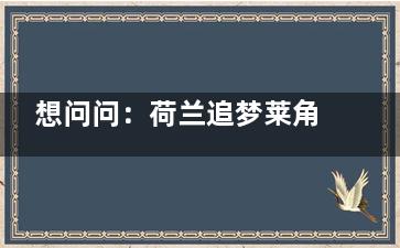 想问问：荷兰追梦莱角膜塑形镜多少钱？7000元起！适应症及注意事项公布！