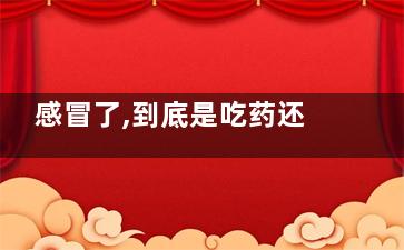 感冒了,到底是吃药还是硬抗,(感冒了是么)