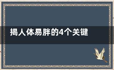 揭人体易胖的4个关键期,易胖身体怎么样能减掉