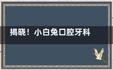 揭晓！小白兔口腔牙科价目表，种植牙、牙齿矫正、拔牙、补牙、牙齿美白等价格一网打尽