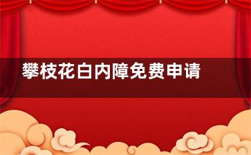 攀枝花白内障免费申请政策快来看，60岁以上老人只要符合两项条件就可申请！