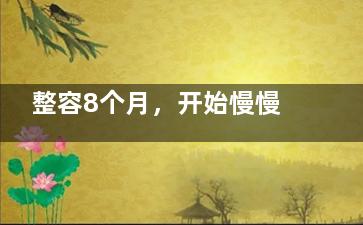 整容8个月，开始慢慢***了