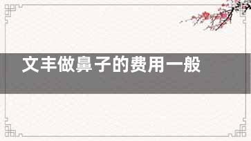文丰做鼻子的费用一般几万？一般在3w起，个人资料&预约挂号&技术优势及口碑解析