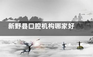 新野县口腔机构哪家好？为您推荐几家在当地口碑良好、技术扎实的牙科