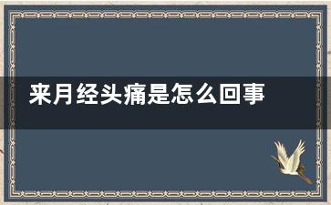 来月经头痛是怎么回事