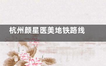 杭州颜星医美地铁路线直达攻略：地铁4号线换乘2号线，步行1.1公里少绕路，懒人必备交通指南